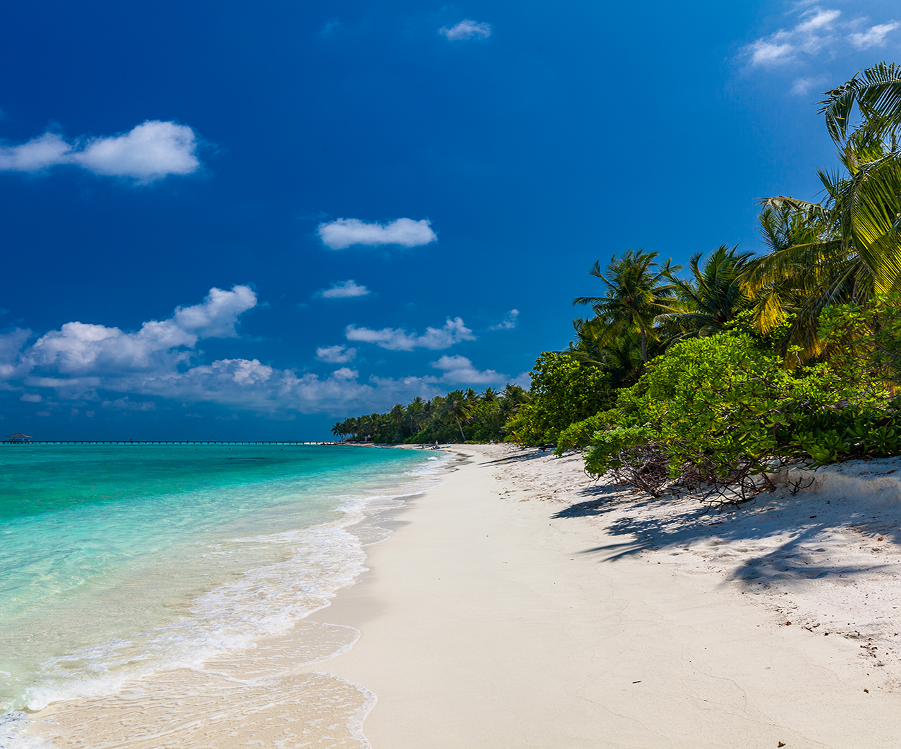 Viaja a Maldivas con Ekimane