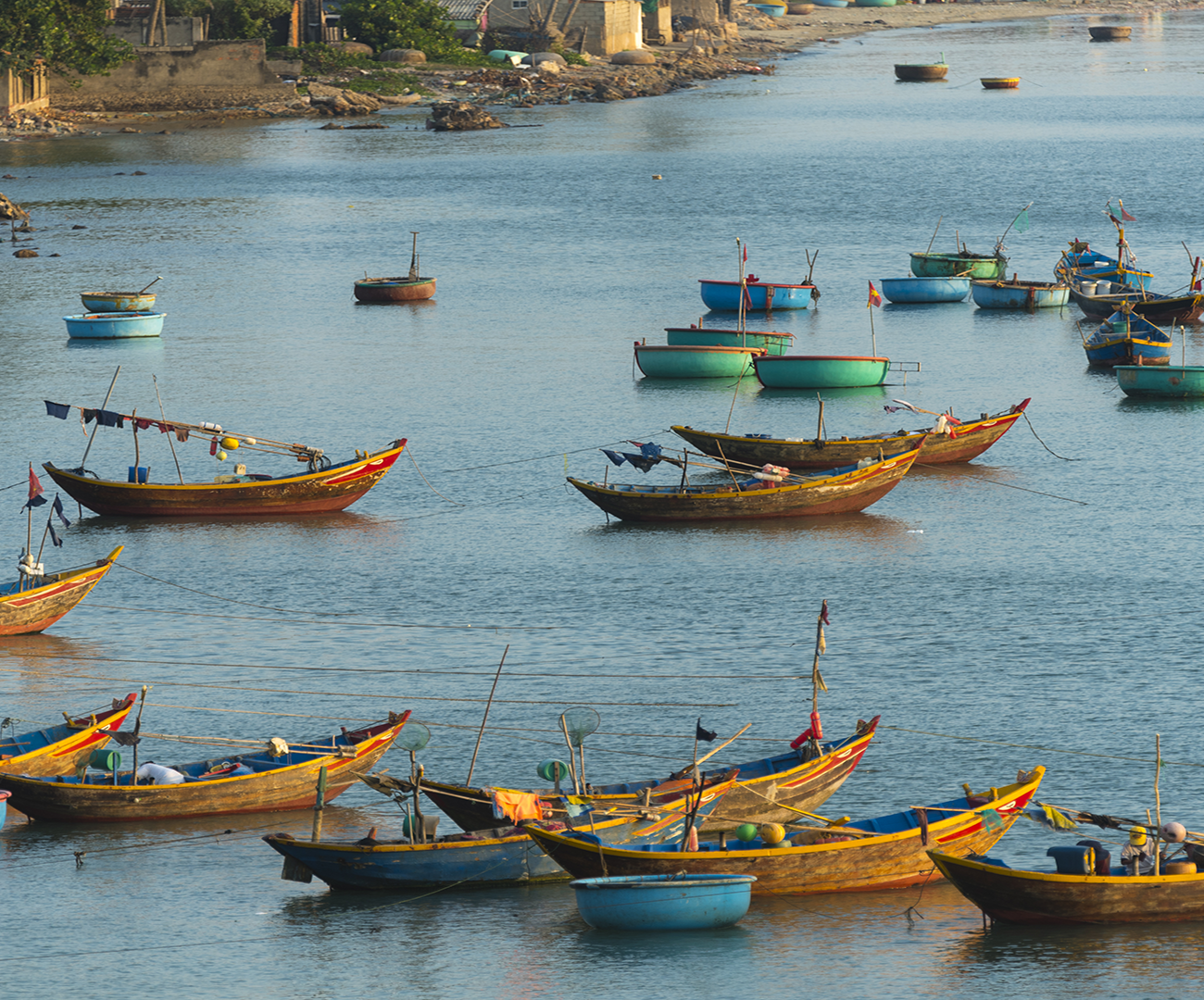 Visita Vietnam con Ekimane