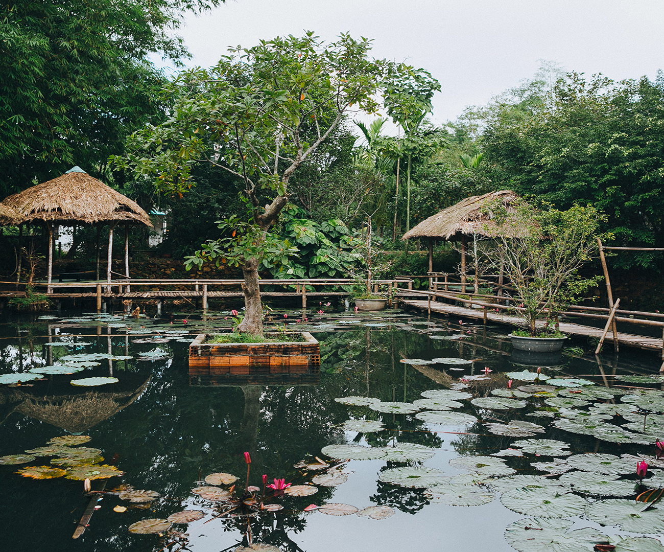 Visita Vietnam con Ekimane